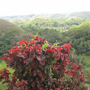 Meet your Posher, Ilara